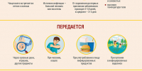 Роспотребнадзор предупреждает! - Город-герой Новороcсийск