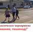 О проведении профилактического мероприятия «Внимание, пешеход!» - ОМВД по Сорочинскому  г.о.