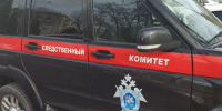 Агрессивная обезьяна покусала пенсионерку в Адыгее. Женщина умерла - Кубанские Новости
