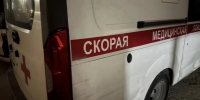 Разъярённая обезьяна насмерть искусала пенсионерку в Адыгее - Itar-TassKuban.Ru