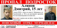 В Мурманске пропал Дмитрий Алянов - Мурманский вестник