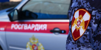 Росгвардией пресечены кражи и дебоши в Волгограде и Волжском - ИА СоцИнформБюро
