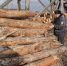 Управление Россельхознадзора по Красноярскому краю - Газета Красноярский рабочий