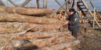 Управление Россельхознадзора по Красноярскому краю - Газета Красноярский рабочий