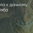 Поделитья во ВКонтакте - Братская Студия Телевидения