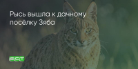 Поделитья во ВКонтакте - Братская Студия Телевидения