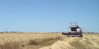 фото: стоп-кадр видео с группы в ВК Минсельхоза РД - НИА-Кавказ Дагестан
