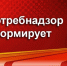 Роспотребнадзор утвердил новые санитарные правила - Роспотребнадзор