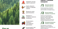 Памятка: Как не допустить лесной пожар - Администрация г. Салават