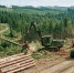 Красраб. Сибирский новостной портал - Газета Красноярский рабочий