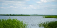 Балаковская АЭС выпустила в Саратовское водохранилище более 73 тысяч молоди стерляди - ProBalakovo.Ru