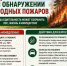  Действия при обнаружении природного пожара.. - Новоузенский район
