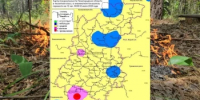 Сводка пожароопасности на 02.07.2026 - Министерство лесного хозяйства
