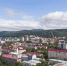 Федеральный эксперт РАН оценил зеленый фонд Южно-Сахалинска - CitySakh.Ru