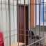 В Красноярском крае журналиста признали виновной в распространении фейков об армии России - ИА Запад24