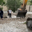 В Карабудахкентском районе восстановили дорогу к водохранилищу после размыва - Дагестанская правда
