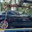 Из-за долгов екатеринбуржца лишили автомобиля Jaguar - EaNews.Ru