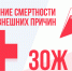 В Котовске в поддержку нацпроекта «Продолжительная и активная жизнь» проходит Неделя, направленная на снижение смертности от внешних причин - ИА ПроКотовск