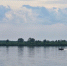 Уровень воды в Оби в Нижневартовске упал до 947 см, но 388 дач всё ещё в воде - Местное время