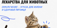 Можно ли лечить животных препаратами из домашней аптечки? - Департамент ветеринарии