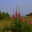 image - GazetaRB.Ru