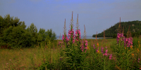 image - GazetaRB.Ru
