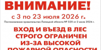 Продлено ограничение на посещение лесов - Знамя Октября