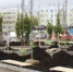 В Уфе рассказали, сколько деревьев ежегодно высаживают в столице - Башинформ