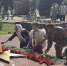 В отряде спецназа Росгвардии почтили память воинов погибших при выполнении служебно-боевых задач - Росгвардия