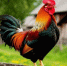 Первоисточник - Syktyvkar.1istochnik.Ru