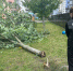 В Калининграде будут судить заведующую детским садом - ИА Русский Запад