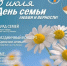 8 июля — День семьи, любви и верности - Газета Регион