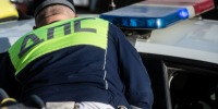 Петербуржец наказан за серию ударов и унижение гаишника из Всеволожска - 47 новостей