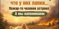 Пожарная безопасность - Миякинский район