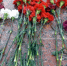 Печорец погиб в ходе СВО - KomiOnline.Ru