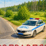 3 июля — День Государственной инспекции безопасности дорожного движения. - Администрация г. Шадринска