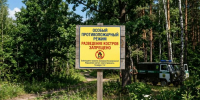 Авиалесоохрана прогнозирует повышенную опасность в Саратовской области в июле - SaratovNews.Ru