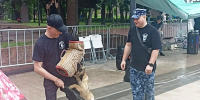 Сотрудники смоленского УФСИН приняли участие в праздновании Дня молодёжи - Смоленская газета