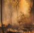 burning-forest-autumn-heat-mystery-generated-by-ai.jpg - Gorod3466.Ru