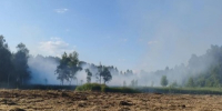 Два лесных пожара ликвидированы в Подмосковье за сутки - Правительство Московской области