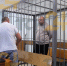 Дело об убийстве директора школы олимпийского резерва Новомосковска передано в суд - ИА Тульская служба новостей