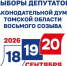 Выборы-2026: жители Томской области смогут проголосовать дистанционно - Законодательная Дума