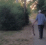 После видео с расправой над котом в Ипатово полиция начала проверку - Bloknot-Stavropol.Ru