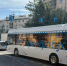 img - ЛДПР