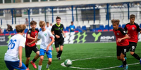 Крылья опустились в Курске (видео) - Championat48.Ru