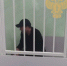 В Солнечногорске взяли под стражу пятого фигуранта по делу о массовом отравлении наркотиками - MosRegToday.Ru