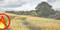 Пожарная безопасность в летний период. - Вилегодский муниципальный округ