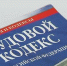 Вологжанам напомнили об усилении контроля за нелегальной занятостью - Правительство Вологодской области