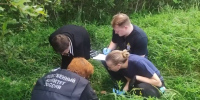 Возбуждено дело об убийстве после обнаружения тела 12-летней девочки под Тосно - 47 новостей