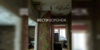 Воронежский СК возбудил дело после жалоб семьи с 4 детьми на жильё с чёрной плесенью - ГТРК Воронеж